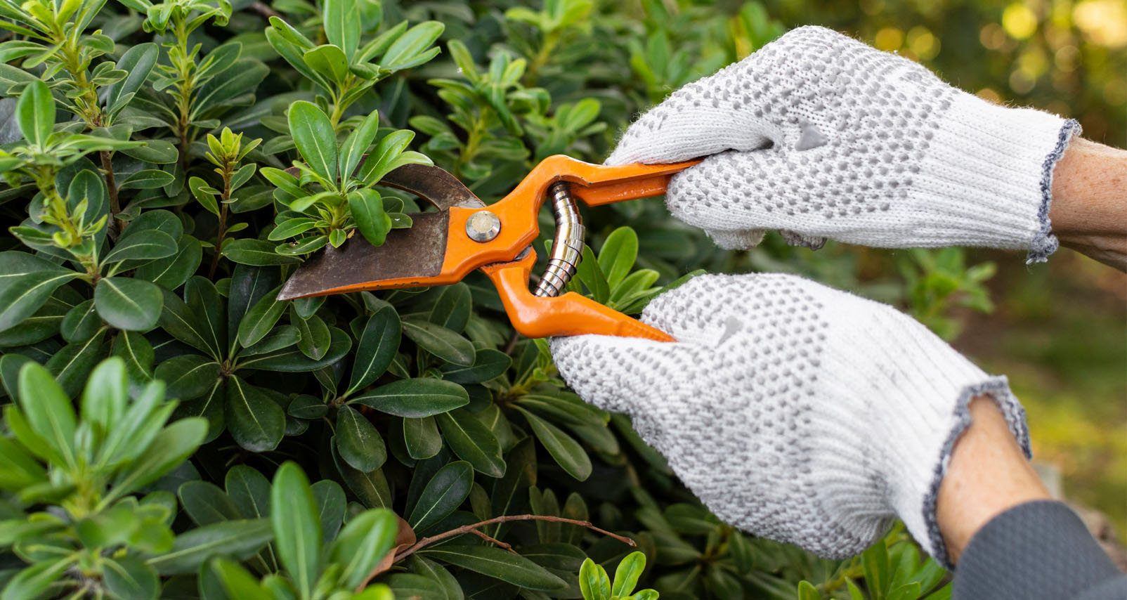 Gartenpflege & Baumfällungen